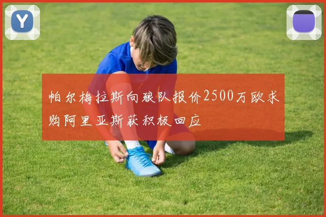 帕尔梅拉斯向狼队报价2500万欧求购阿里亚斯获积极回应