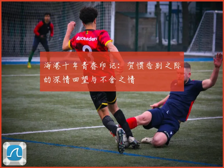 海港十年青春印记：贺惯告别之际的深情回望与不舍之情